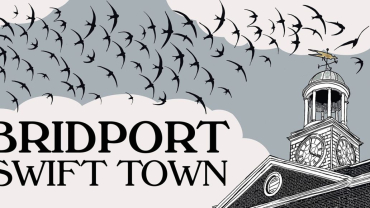 Swift Town