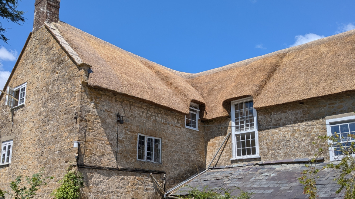 What A Difference A Week Makes