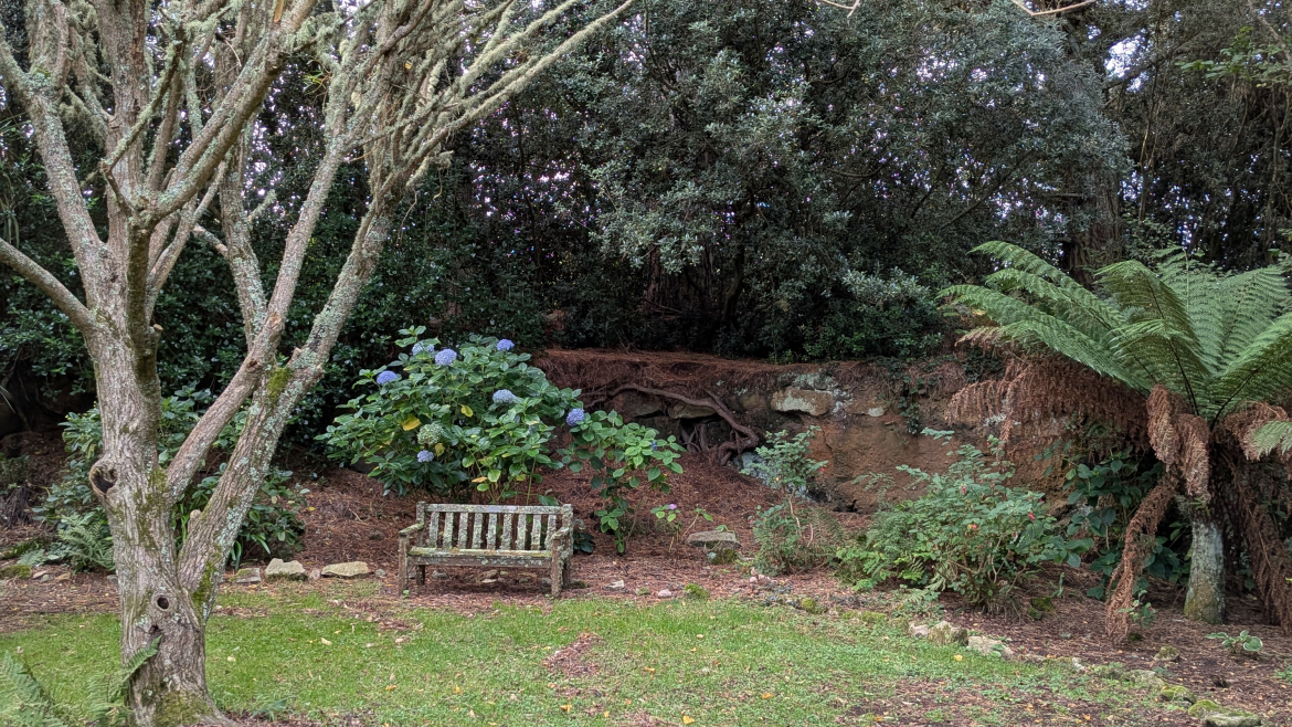 One Step Forward Two Steps Back