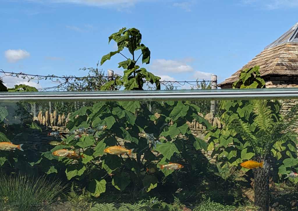 We are now in a Catch 22 situation; a dichotomy of weighing up the green agenda against the need for new housing.