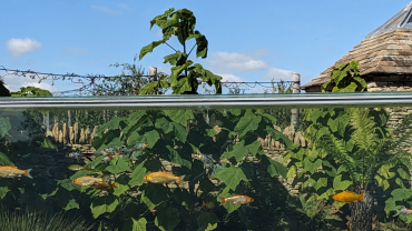 The Past is Struggling against the Future