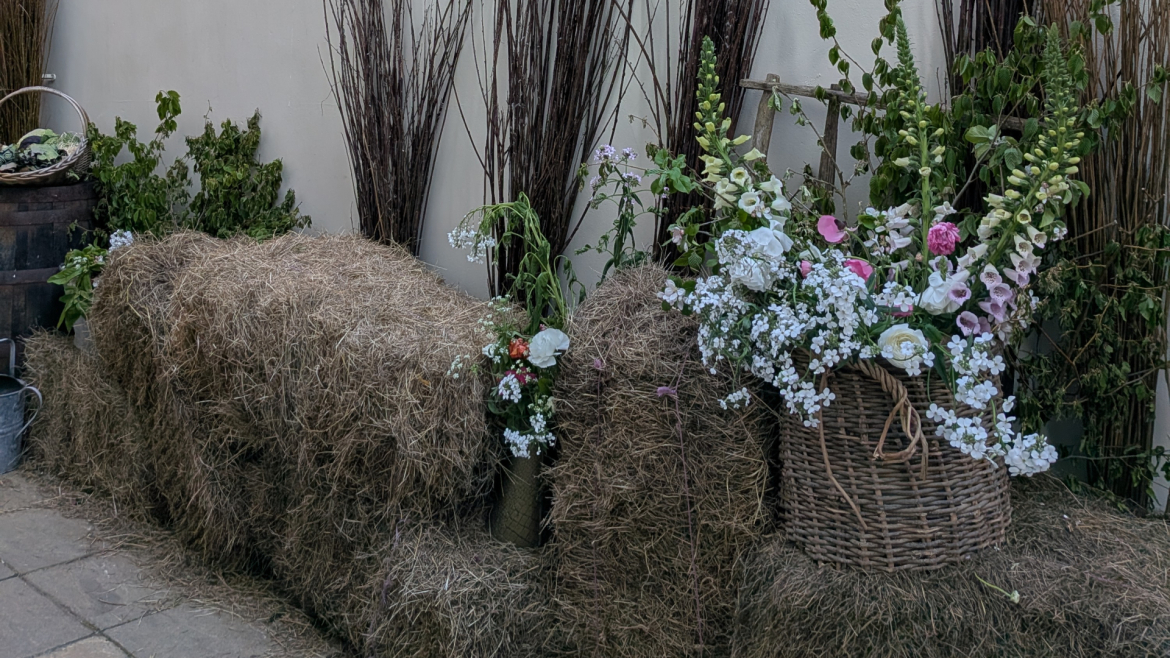 When Life takes a Different Direction