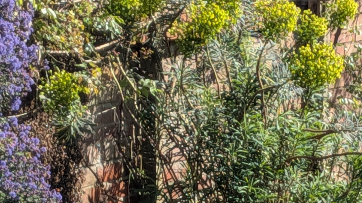 Health and Safety at Work