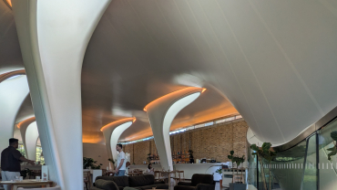 The Role of the Architect